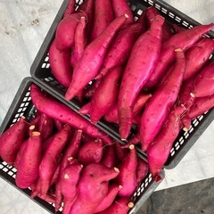 お試し　甘藷🍠　農家直送　さつまいも　10kg　新鮮　甘くて美味しい　期間限定品　数量限定で4の画像