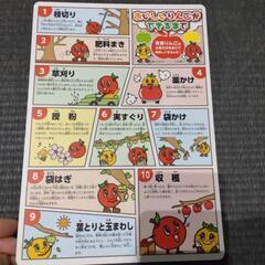【断捨離中❗️】　非売品　りんご　りんごがどきるまで　下敷き　品種説明の画像