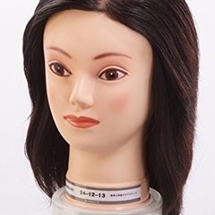 カットマネキン　新品2,500円～【IP300／金髪M-08／美容師実技試験用No.24-12-13／L-23】の画像