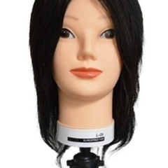カットマネキン　新品2,500円～【IP300／金髪M-08／美容師実技試験用No.24-12-13／L-23】の画像