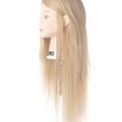 カットマネキン　新品2,500円～【IP300／金髪M-08／美容師実技試験用No.24-12-13／L-23】の画像