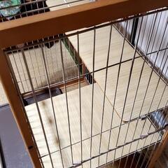 木製枠猫用ケージの画像