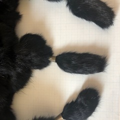 ストール　襟巻き　マフラー　毛皮　の画像