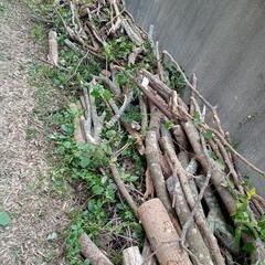 まきなどの画像