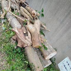 まきなどの画像