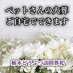 ペットさんの自宅葬・訪問火葬　夜間も承ります。【栃木県北エ…