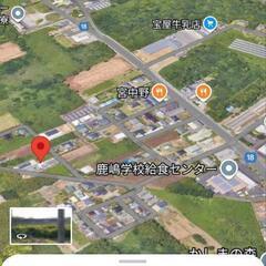 まきなどの画像