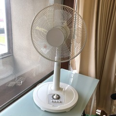 美品　2022年製　扇風機　おおたけ　MF-322T ホワイト 