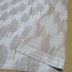 カーテン・布製カーテンの画像