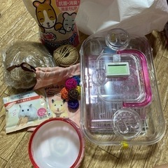 ハムスター飼育6点セット　値下げ中