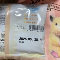 ハムスター飼育6点セット　値下げ中の画像