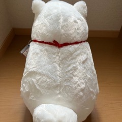 忠犬もちしばの画像