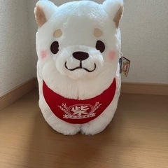 忠犬もちしばの画像