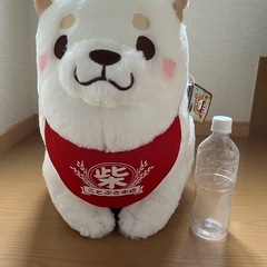 忠犬もちしばの画像