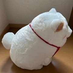 忠犬もちしばの画像