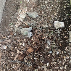 庭の瓦礫の処分の画像