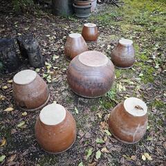 カメ　瓶　かめの画像