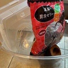虫かご
