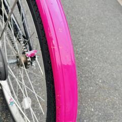 ブリヂストン ワイルドベリー22インチ4500→4000円お値下げ中の画像