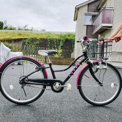 ブリヂストン ワイルドベリー22インチ4500→4000円お値下げ中