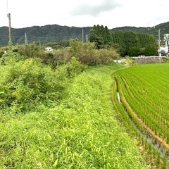 土地・田んぼ・土手等 草刈りします！の画像
