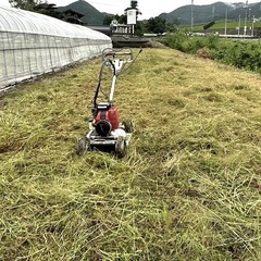 土地・田んぼ・土手等 草刈りします！の画像