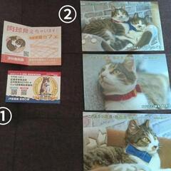 猫カフェサービス券＆猫駅長ポストカード🎫🐱