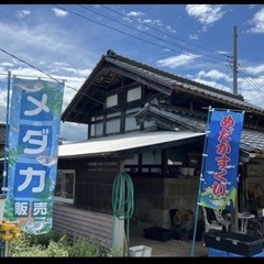 10月5日6日　めだか掬い300円
