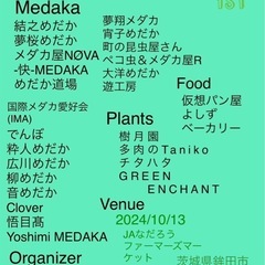 10月5日6日　めだか掬い300円
の画像