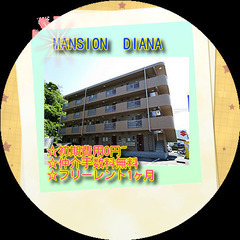🚘MANSIONDIANA206号室🚘★仲介手数料0円！★敷金・...