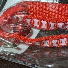 小型犬/ほね柄の首輪（新品）レッドの画像