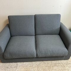 Nitori Two Person Sofa Bed