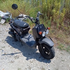 ★値下★【期間限定】97000→55000 ホンダ ズーマー Z...