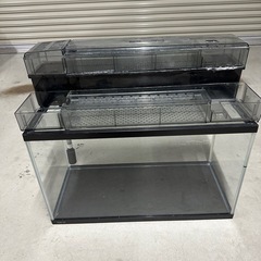 上部フィルター付き60センチ規格水槽