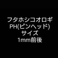 フタホシコオロギ