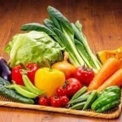 野菜作りしてる人、したい方