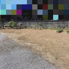 坊草シートひき