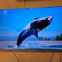 ORION　49型液晶テレビ　
