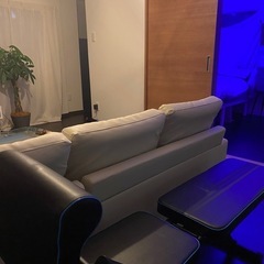 ベンチ　筋トレ
