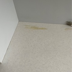 食器棚の画像
