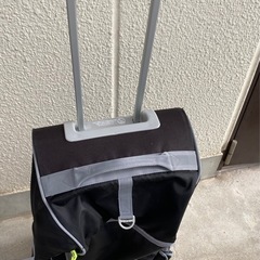 Adidas    Bag    Suitcase の画像