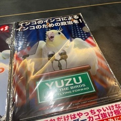 オカメインコクリアファイル新品の画像