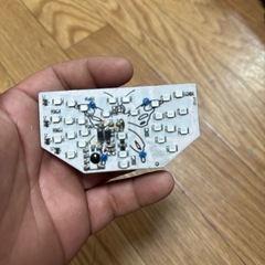 当時物？ク　蝶々テール
