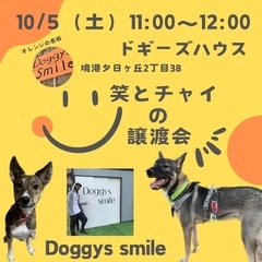 保護犬譲渡会