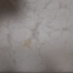 ベビーベットの画像