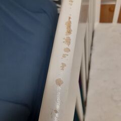 ベビーベットの画像