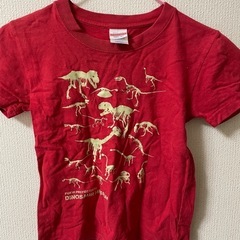 福井県恐竜博物館　Tシャツ