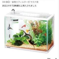 【調整中】ジェックス　フラッティ　水槽の画像