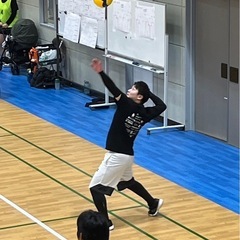バレー仲間募集