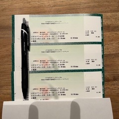 3枚⭐︎たまがわ花火大会　パパル花火フェスティバル　入場チケット